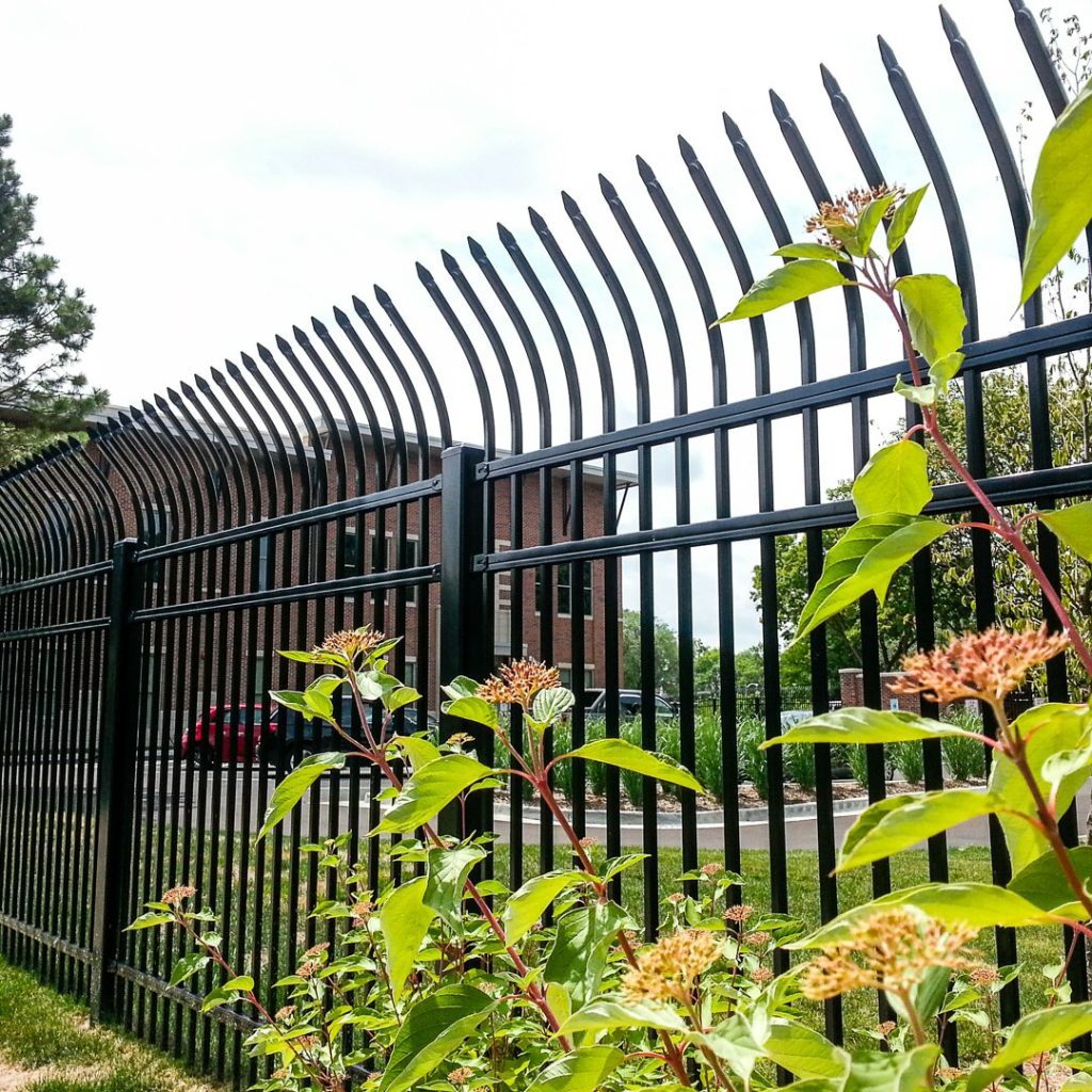 deck and fence